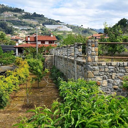 Le Rose Villa San Biagio della Cima Eksteriør billede