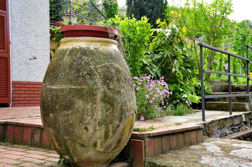 Le Rose Villa San Biagio della Cima Eksteriør billede