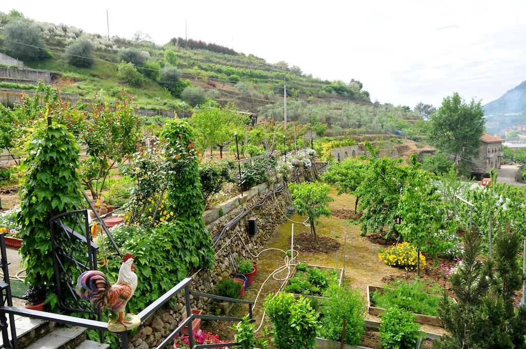 Le Rose Villa San Biagio della Cima Eksteriør billede