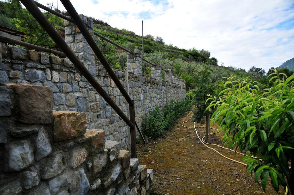 Le Rose Villa San Biagio della Cima Eksteriør billede